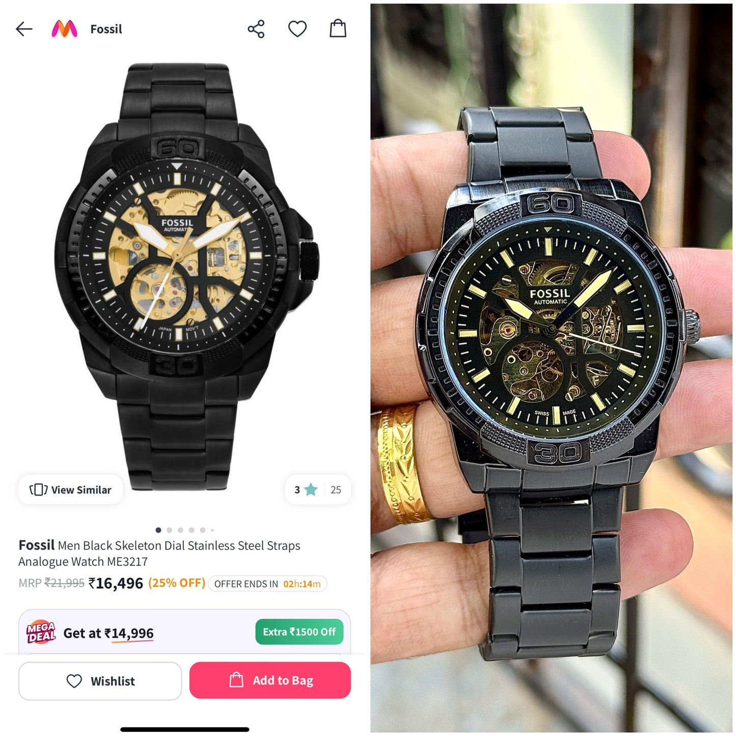 Fossil Bronson