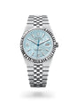 Role_x Land Dweller Tiffney Blue Color battery Operated Auto Movment